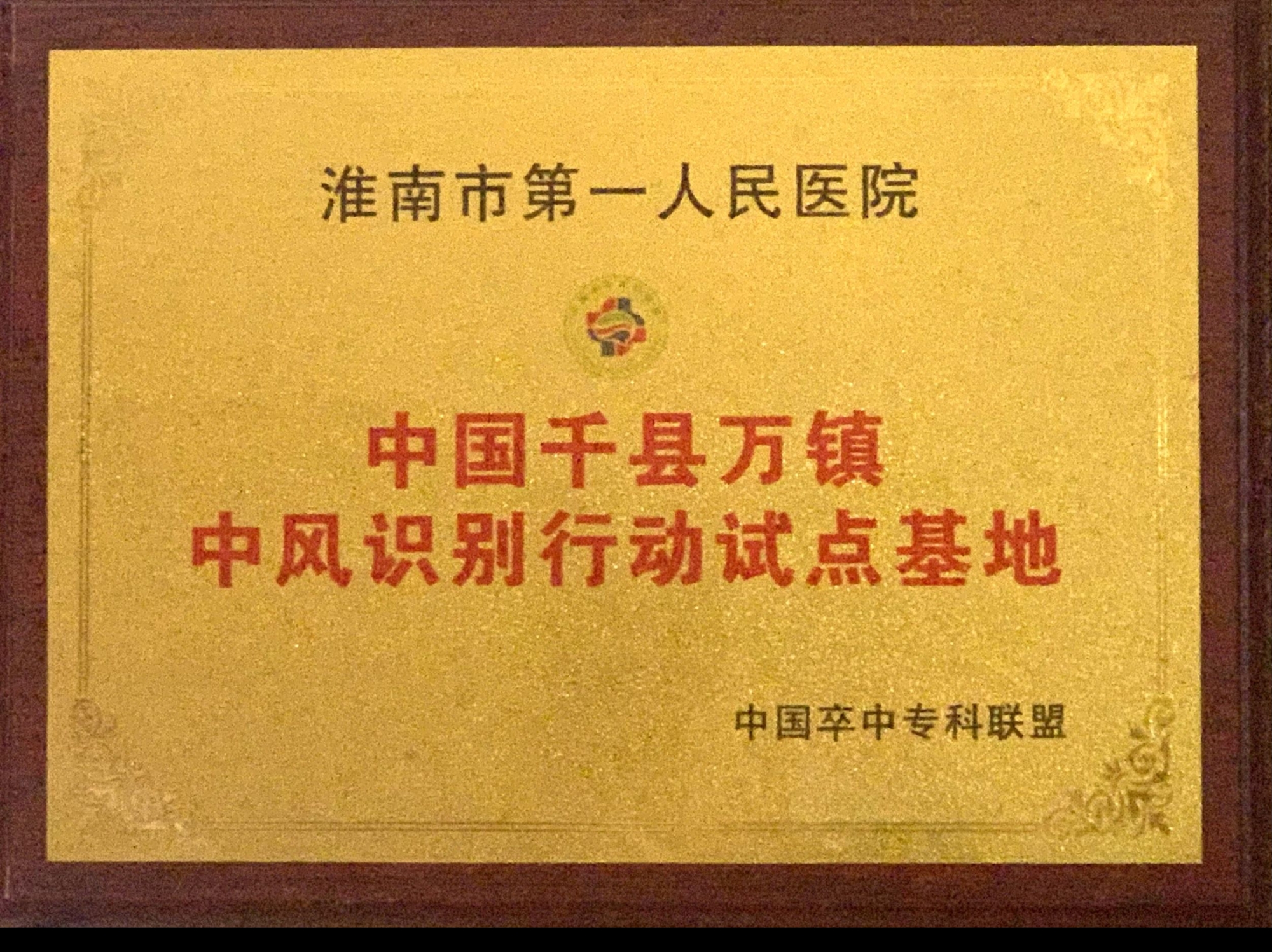 4、中國千縣萬鎮(zhèn)中風(fēng)識別行動示范基地.jpg